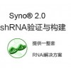 泓迅shRNA构建与验证服务