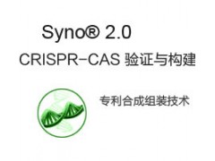 CRISPR-Cas9构建与验证服务图1