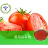 Tomato P.E/番茄提取物|原料|质优价廉|送货上门|厂家 18930710487