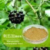 刺五加提取物 刺五加苷B+E 0.8% 1.2% 1.5%