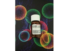 北京sigma胆碱氧化酶价格Choline Oxidase图2