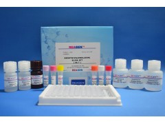 维生素B7（生物素）检测试剂盒图2