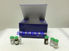 人血管生成素1(ANG-1)ELISA试剂盒  Human ANG-1 ELISA Kit图3