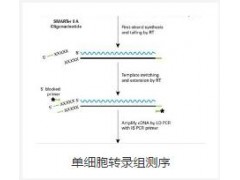 高通量测序服务图2