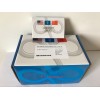 笃玛 鸡心肌营养素1(CT-1) ELISA 试剂盒 产品说明书