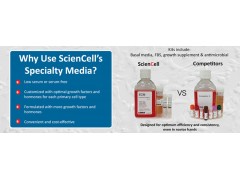 sciencell ECM 内皮细胞培养基图3