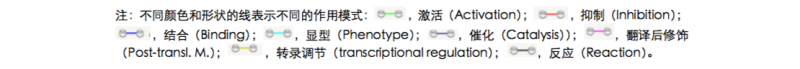 差异表达蛋白之间不同的作用模式(Actions)2