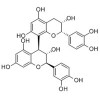 进口原花青素B3 Procyanidin B3惠诚