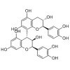 上海惠诚提供进口原花青素B1 Procyanidin B1