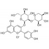 矢车菊素-3-桑布糖苷Cyanidin 3-sambubioside进口