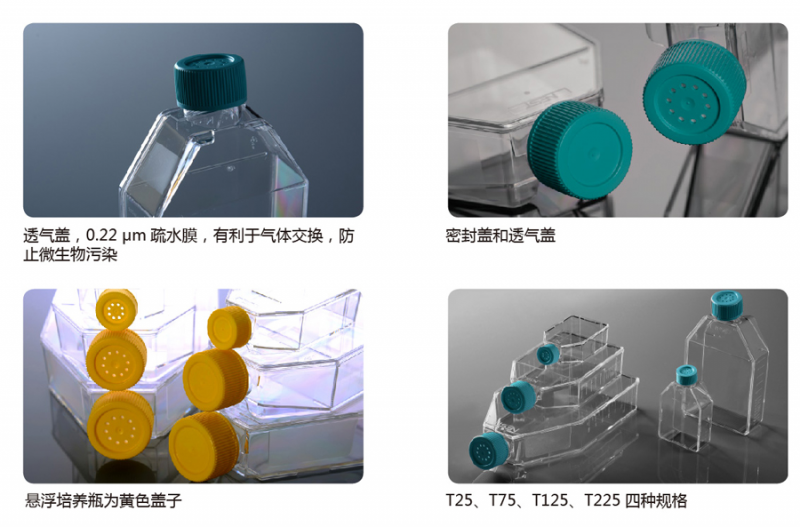 细胞培养瓶  供应T25、T75、T125、T225图4