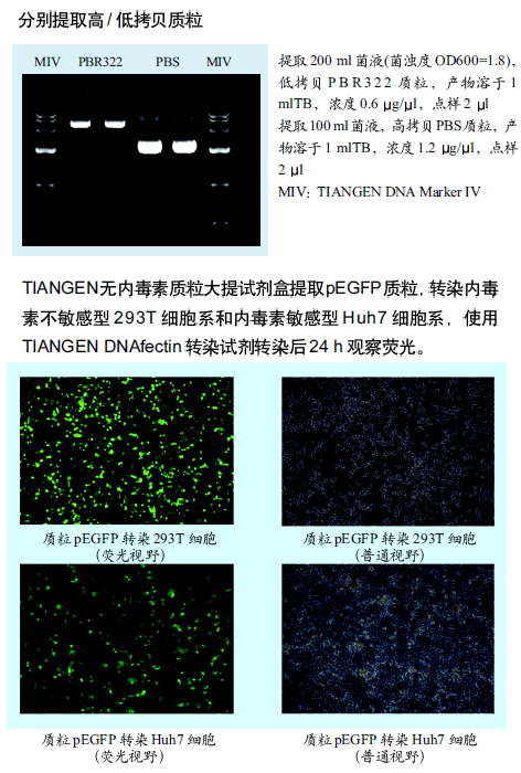 血液细胞组织基因组DNA提取试剂盒（DP304）图2