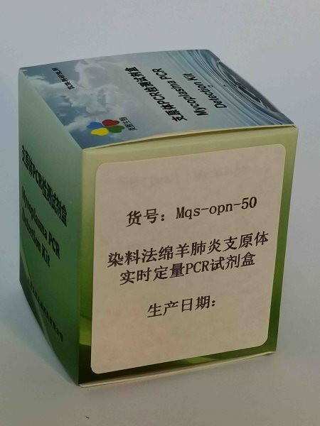 染料法绵羊肺炎支原体实时定量PCR试剂盒图2