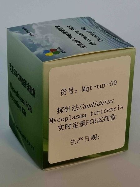 探针法M. turicensis实时定量PCR试剂盒图2