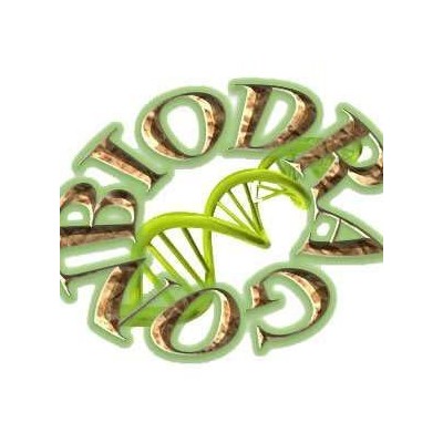 SYBR GreenⅠ（荧光PCR用）