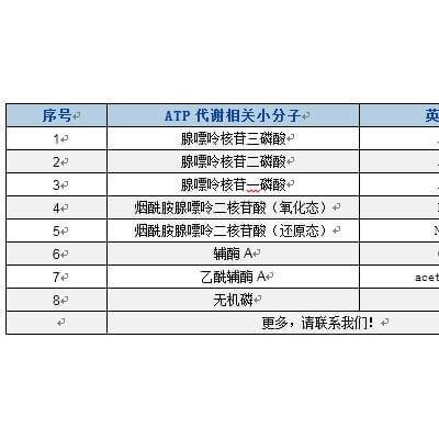 ATP代谢相关物质分析服务