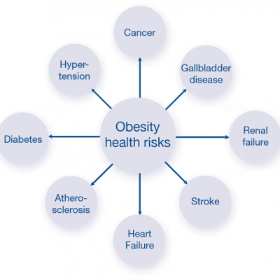 肥胖相关免疫因子检测服务