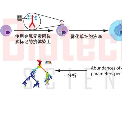 单细胞质谱流式技术分析