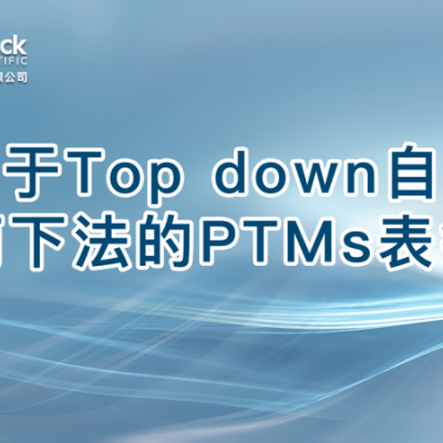 基于Top down自上而下法的PTMs表征