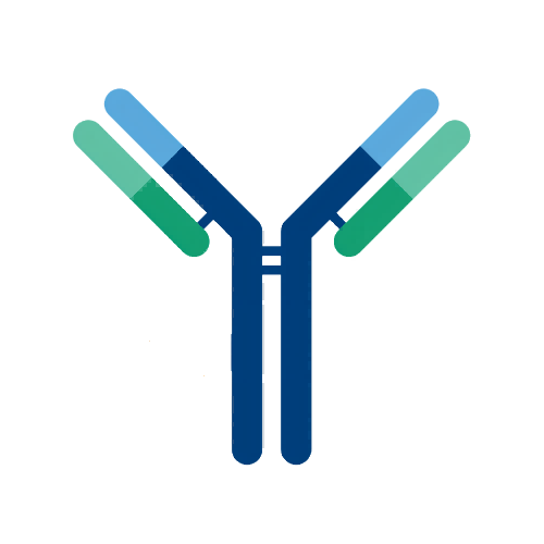 兔抗羊驼 IgG2 Antibody图1