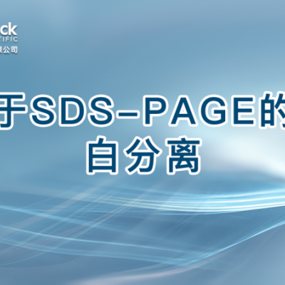 基于SDS-PAGE的蛋白分离