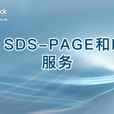 1D SDS-PAGE和IEF服务