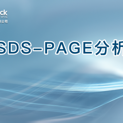 SDS-PAGE分析