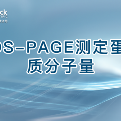 SDS-PAGE测定蛋白质分子量