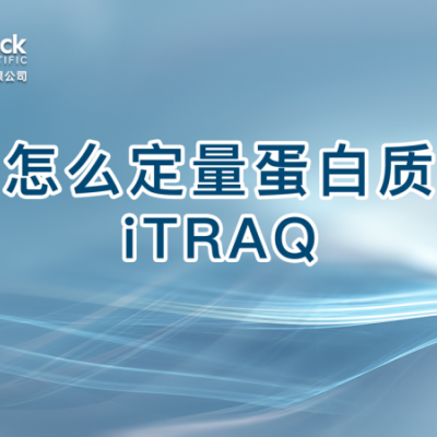 怎么定量蛋白质iTRAQ