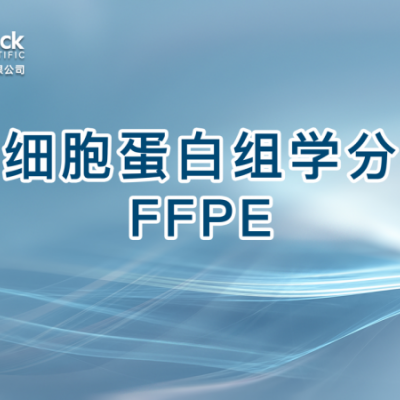 单细胞蛋白组学分析 FFPE