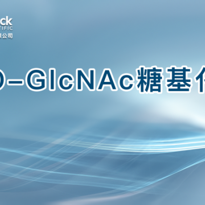 O-GlcNAc糖基化