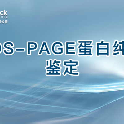 SDS-PAGE蛋白纯度鉴定