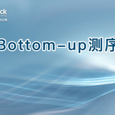 Bottom-up测序