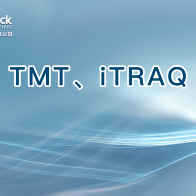 TMT、iTRAQ